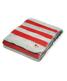 Champion Stadium Blanket